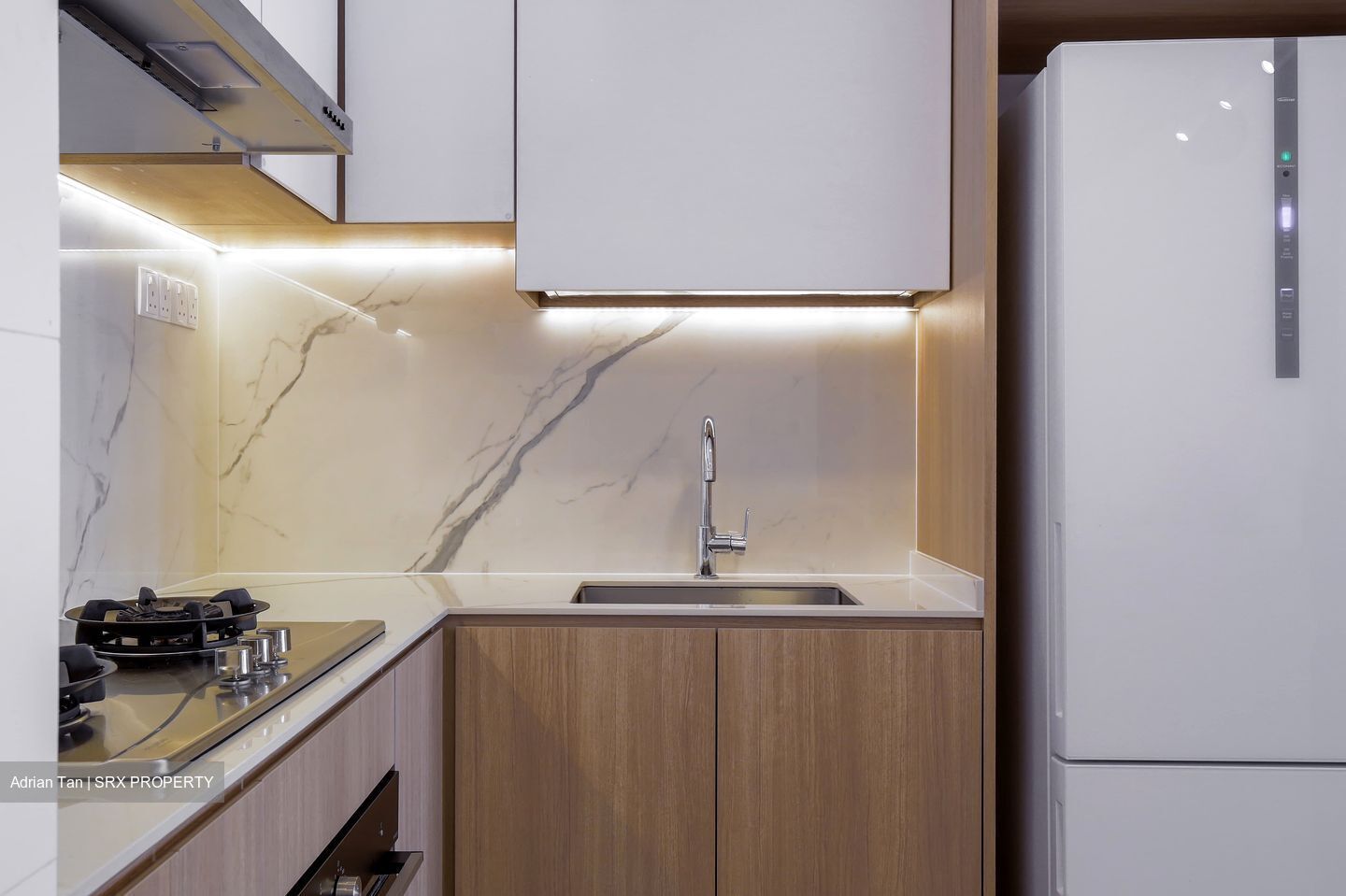 H2O Residences (D28), Condominium #483638451